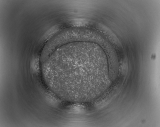 X0000116880696201001121323