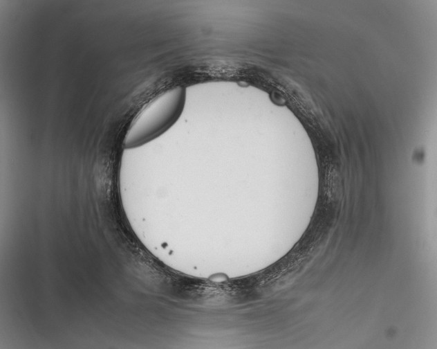 X0000116880697201001121323