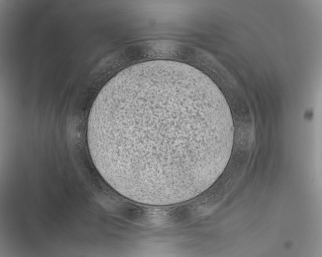 X0000116880701201001121323