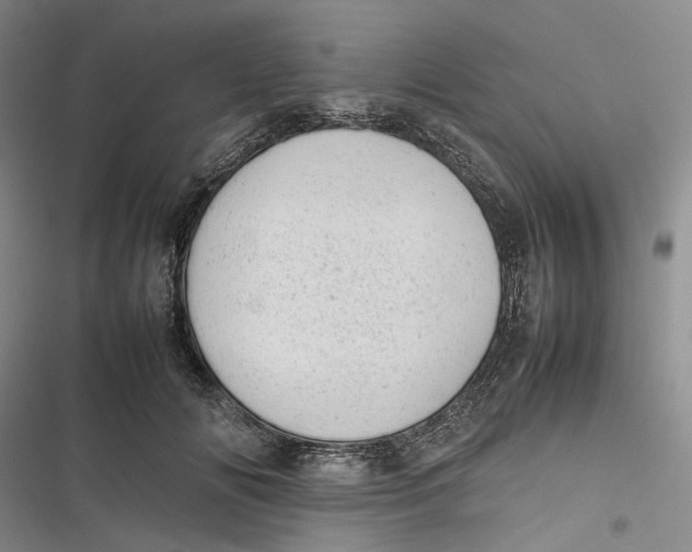 X0000116880702201001121323
