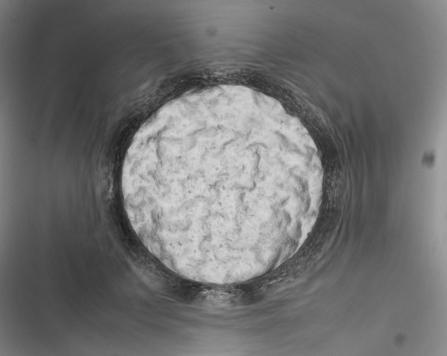 X0000116880703201001121323