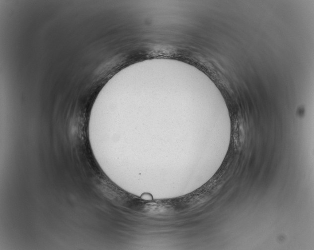 X0000116880714201001121322