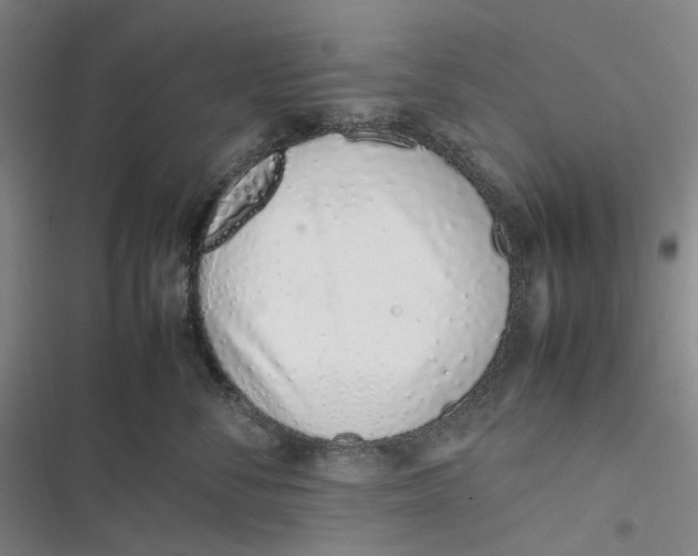 X0000116880716201001121322