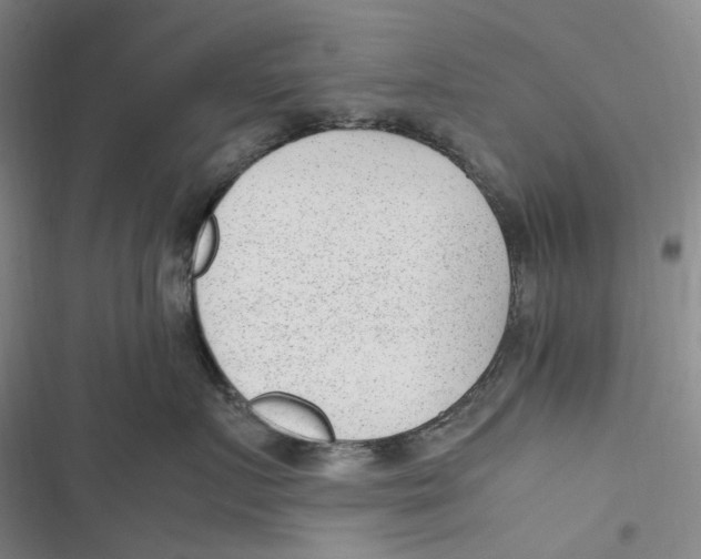 X0000116880719201001121322