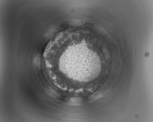 X0000116880720201001121322