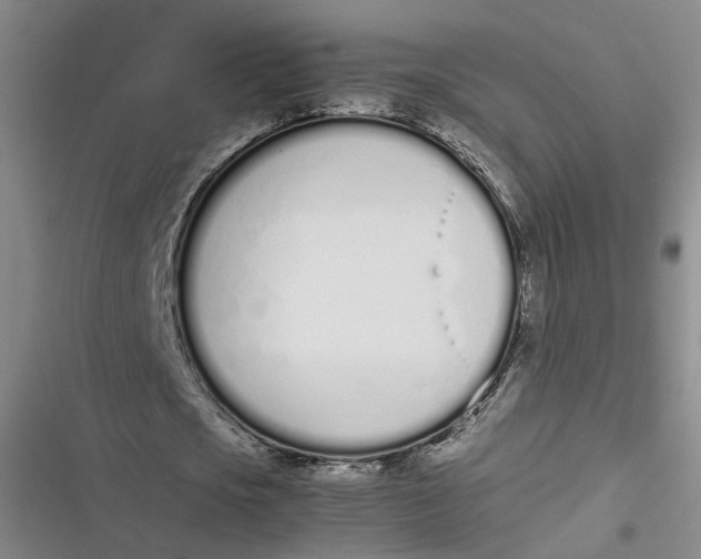 X0000116880721201001121322