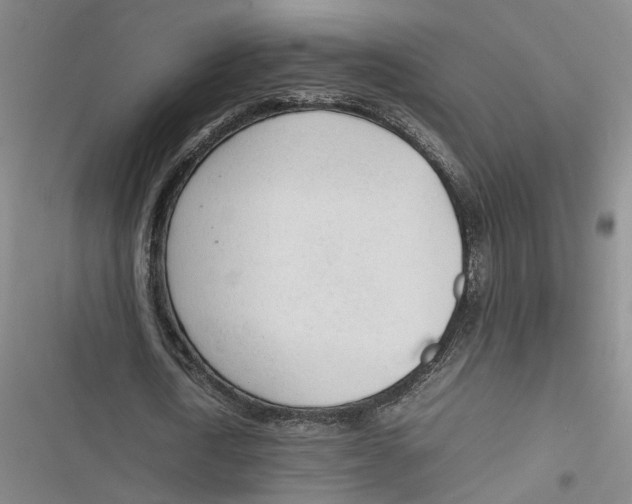 X0000116880722201001121322