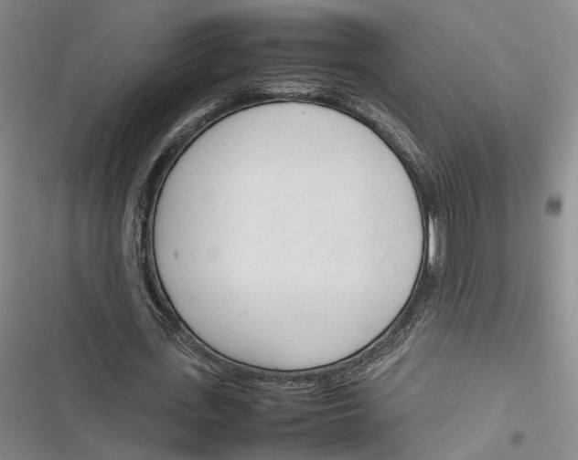 X0000116880723201001121322