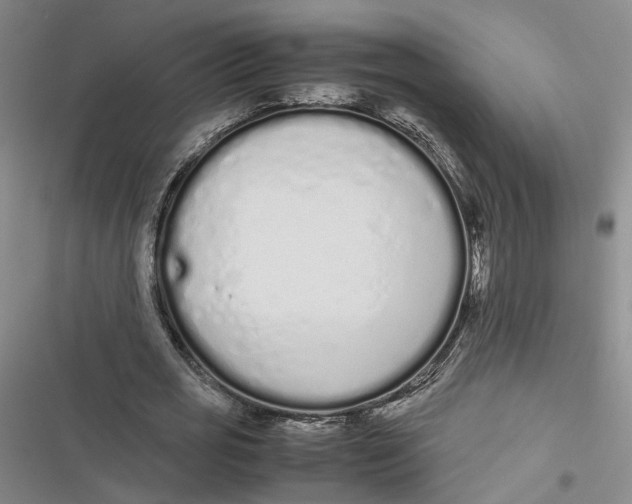 X0000116880725201001121322