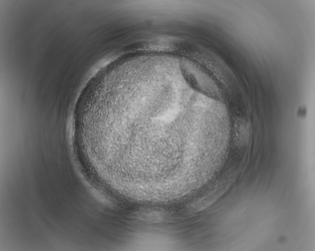 X0000116880726201001121322