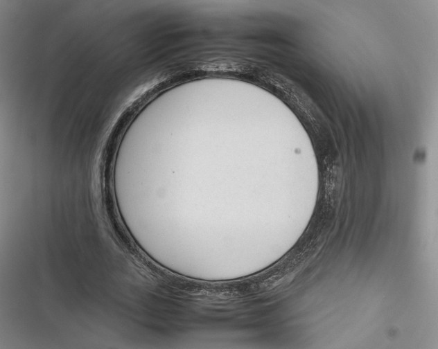 X0000116880727201001121322