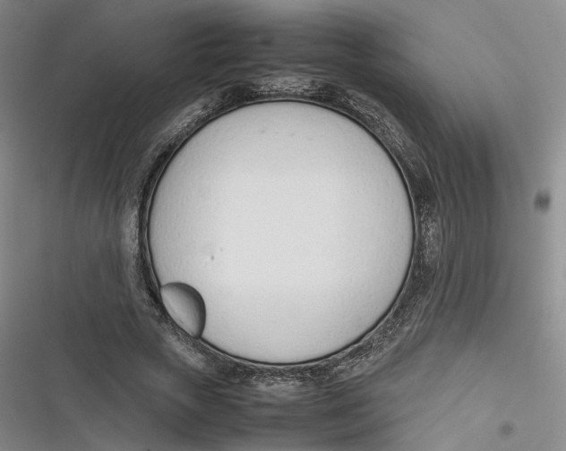 X0000116880729201001121322