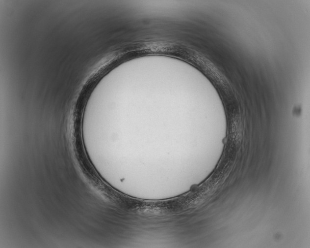 X0000116880730201001121322