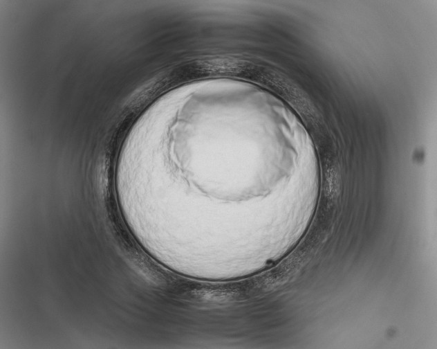 X0000116880733201001121322