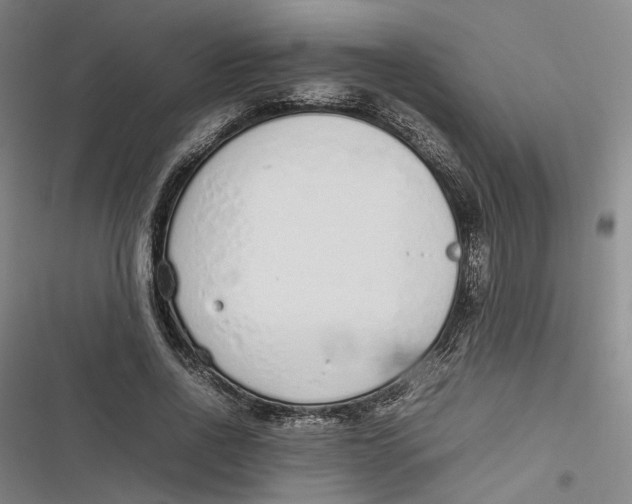 X0000116880734201001121322