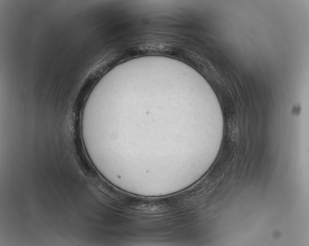 X0000116880735201001121322