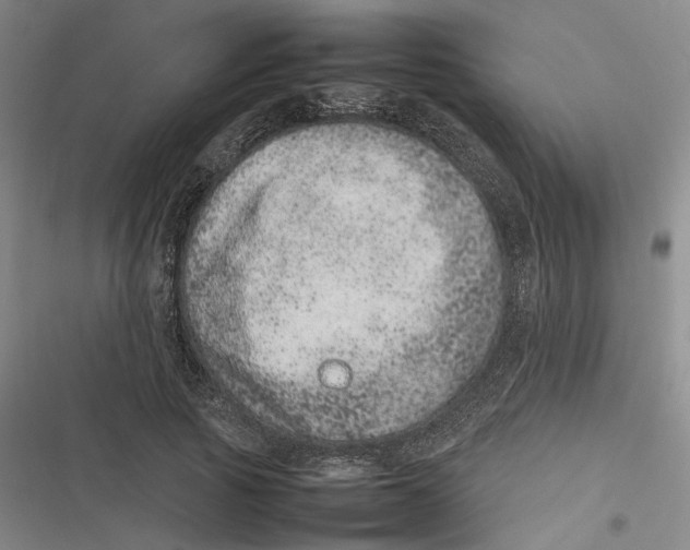 X0000116880737201001121322
