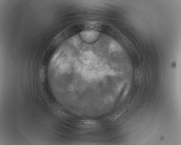 X0000116880741201001121322