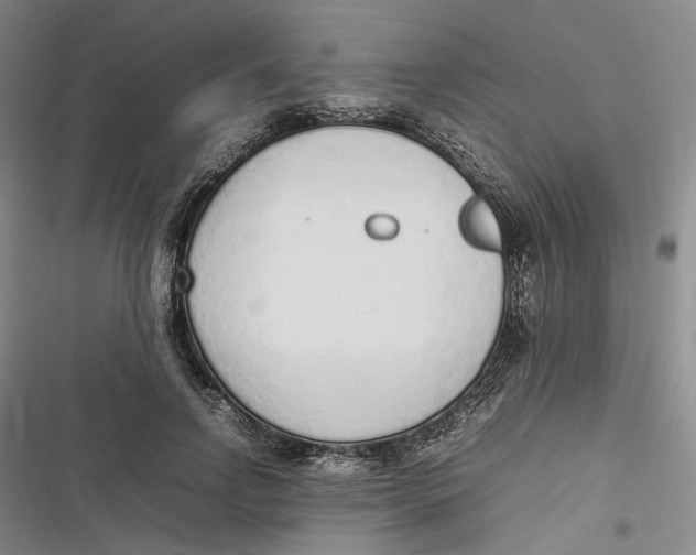 X0000116880742201001121322