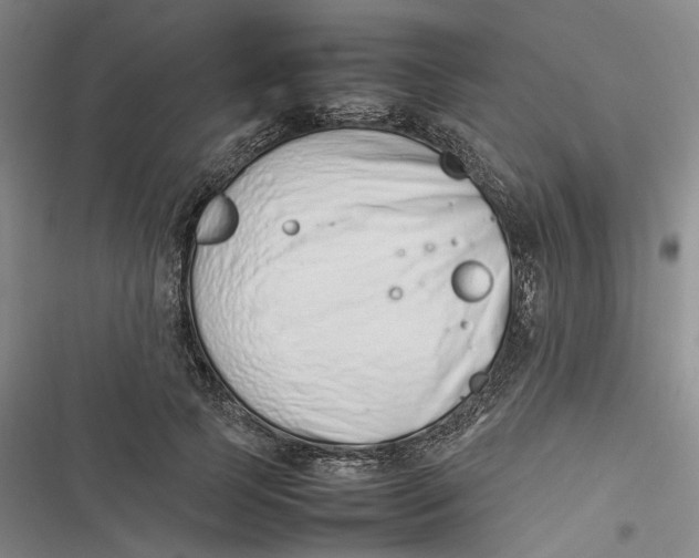 X0000116880745201001121322