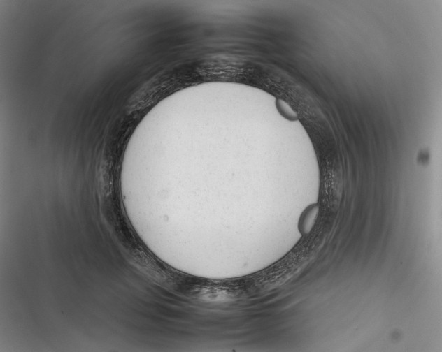 X0000116880751201001121322