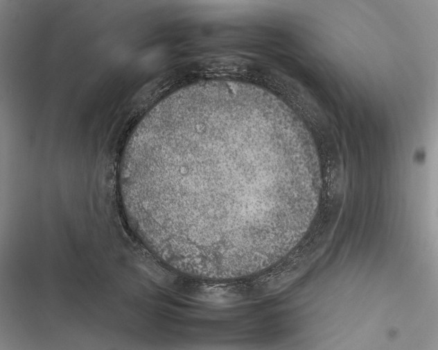 X0000116880753201001121322