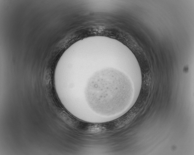 X0000116880754201001121322