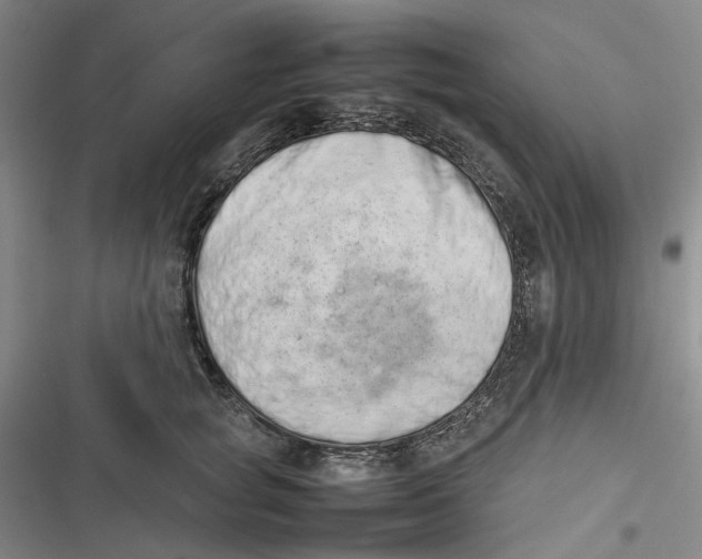 X0000116880757201001121322