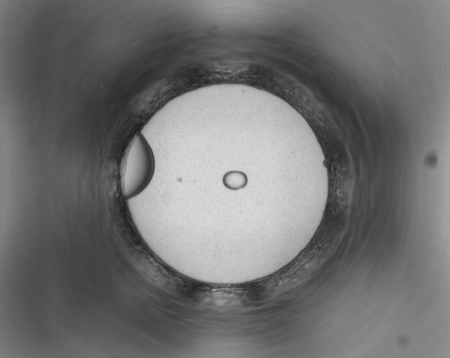 X0000116880758201001121322