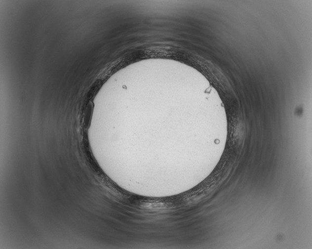 X0000116880759201001121322