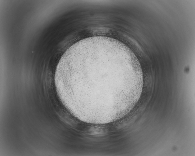 X0000116880761201001121322