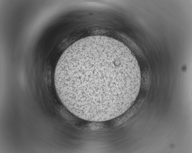 X0000116880762201001121322