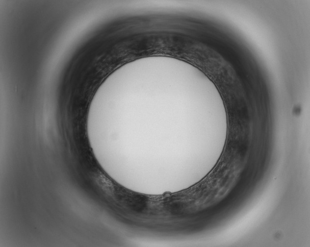 X0000116880766201001121322