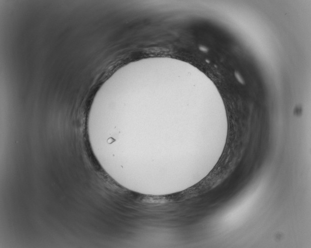 X0000116880767201001121322