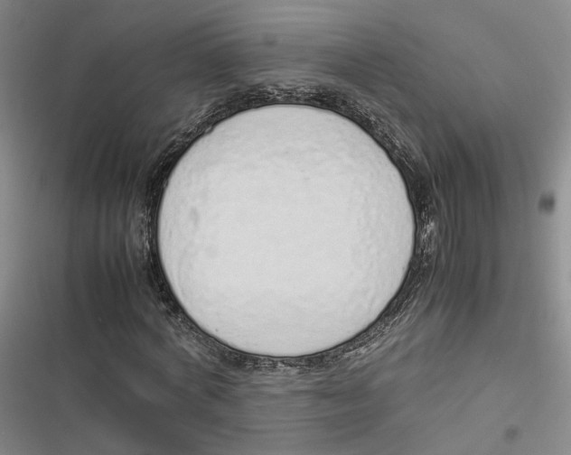 X0000116880772201001121322