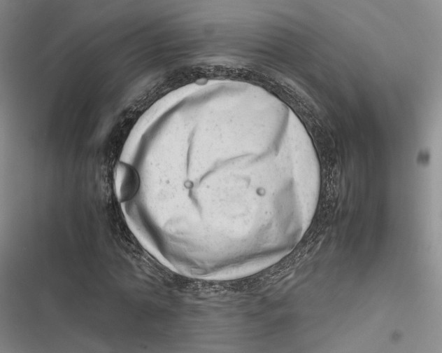 X0000116880774201001121322