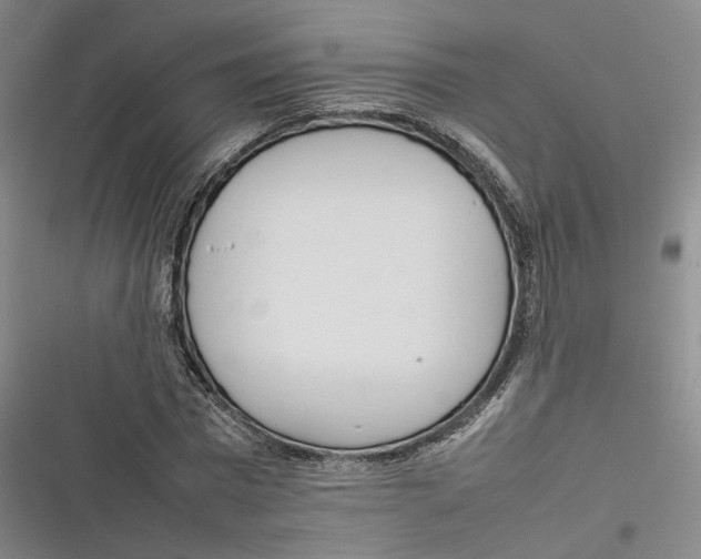 X0000116880777201001121322
