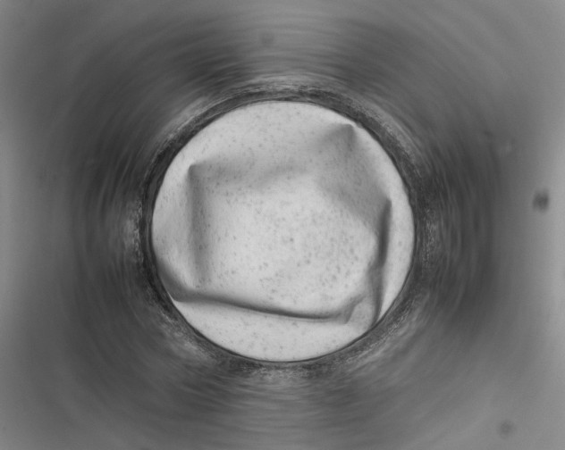 X0000116880778201001121322