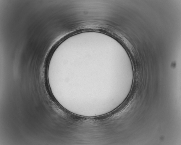 X0000116880779201001121322