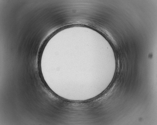 X0000116880780201001121322