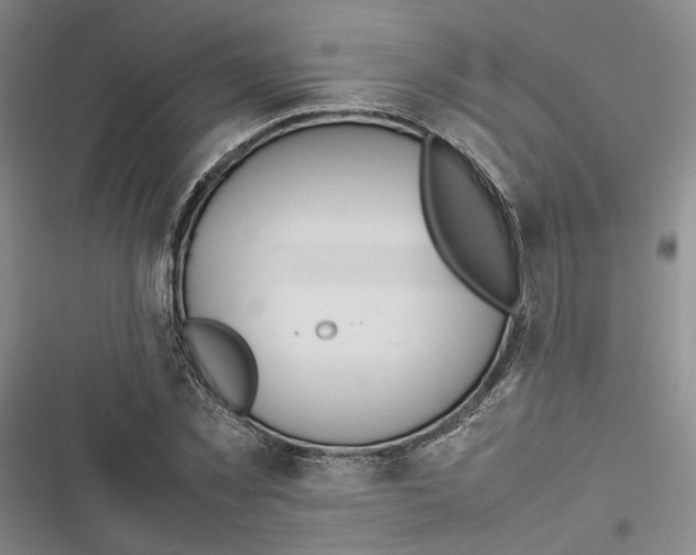 X0000116880781201001121322