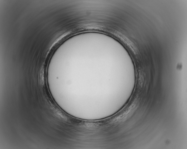 X0000116880782201001121322