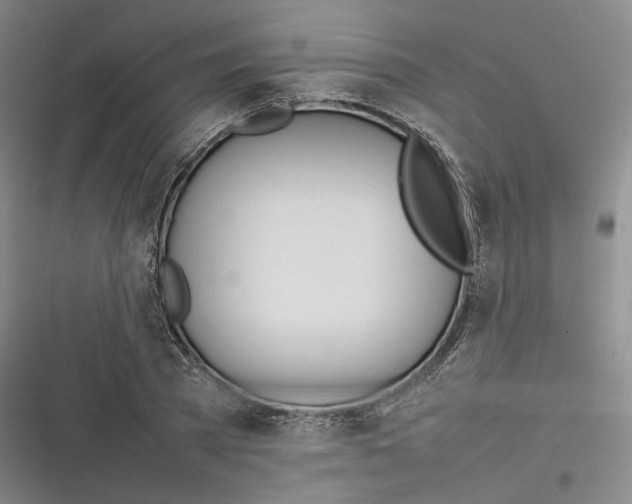 X0000116880785201001121321