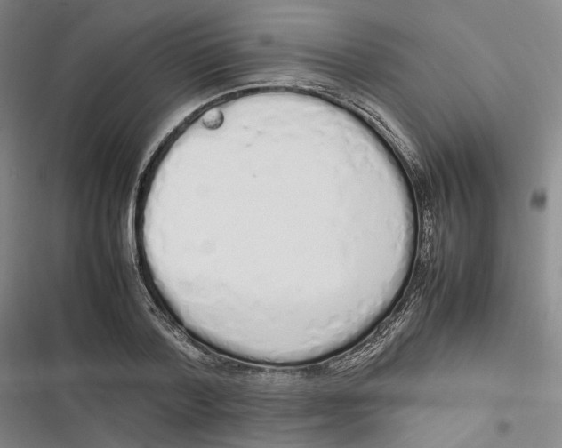 X0000116880788201001121321