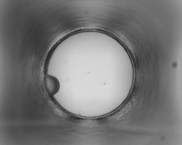 X0000116880789201001121321