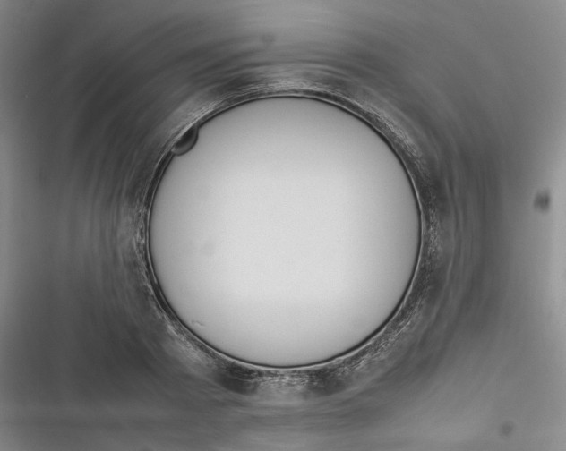 X0000116880793201001121321