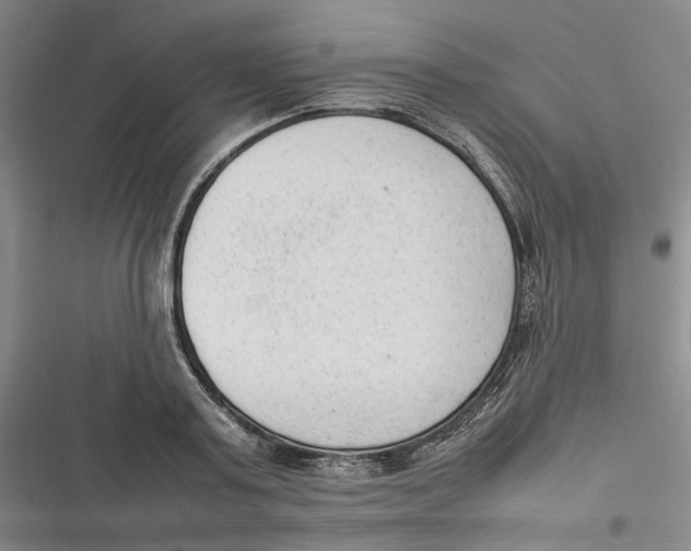 X0000116880795201001121321