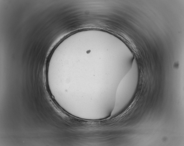 X0000116880796201001121321