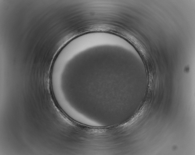 X0000116880802201001121321