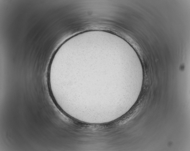 X0000116880803201001121321